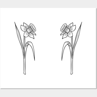 black daffodil rose flower Posters and Art